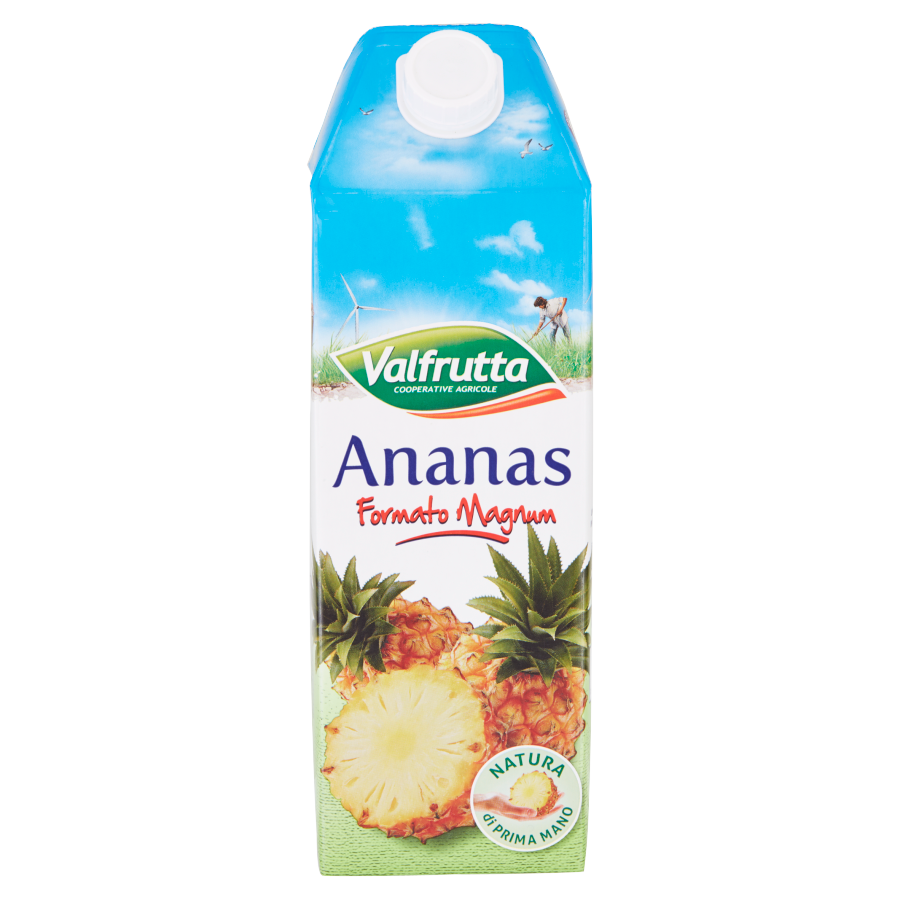 Valfrutta Succo Brik Ananas