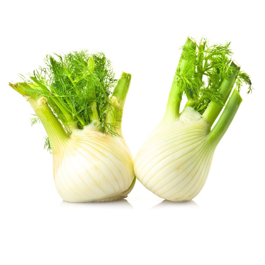 Finocchi Padella 3