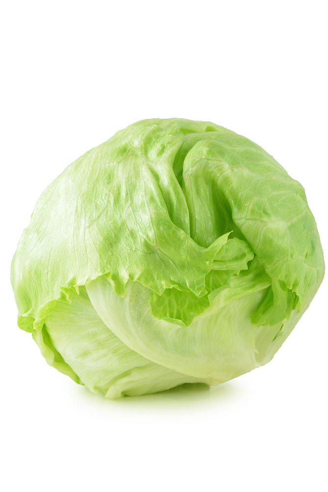Lattuga Iceberg