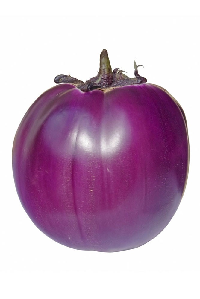 Melanzane Viola Cat Ii It Sard