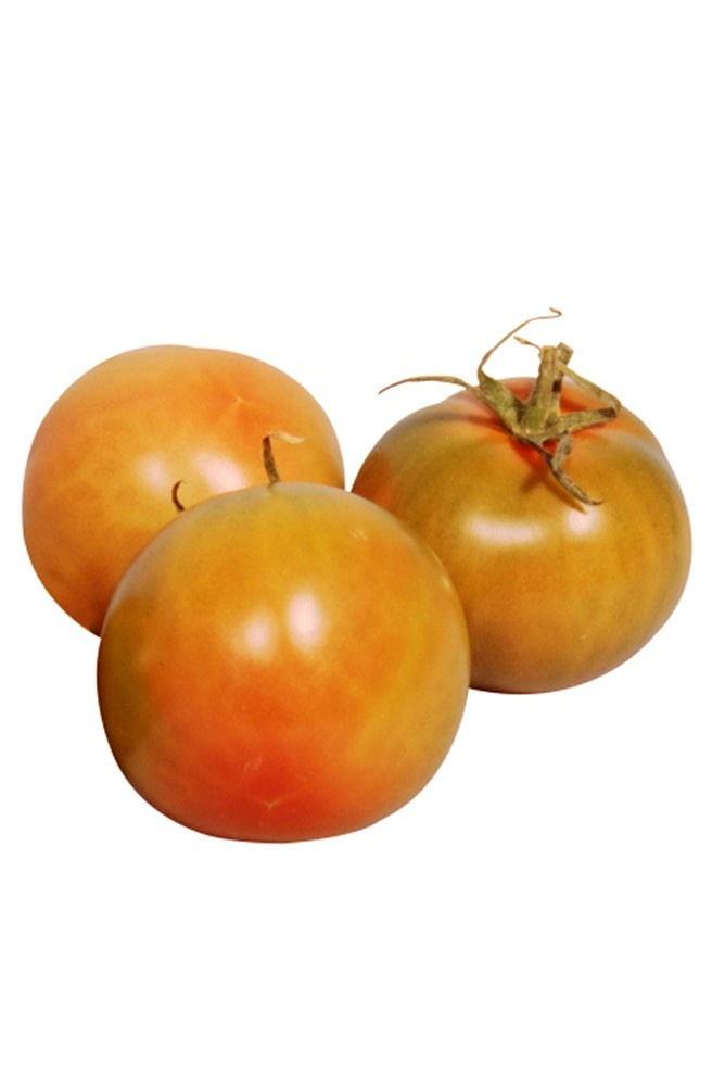 Pomodoro Tondo Insalata