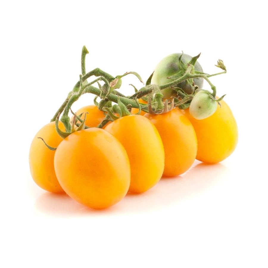 Pomodoro Datterino Giallo