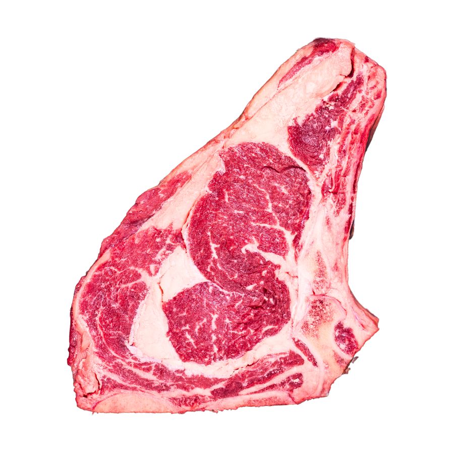 Costata Sashi Gold