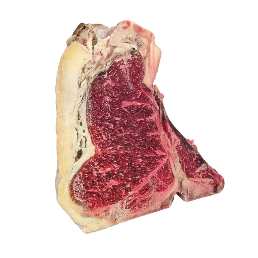 Costata Frisona Baltica